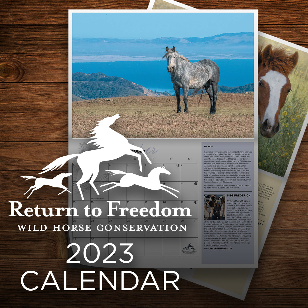 2023 Return to Freedom Calendar Return to Freedom Wild Horse Conservation