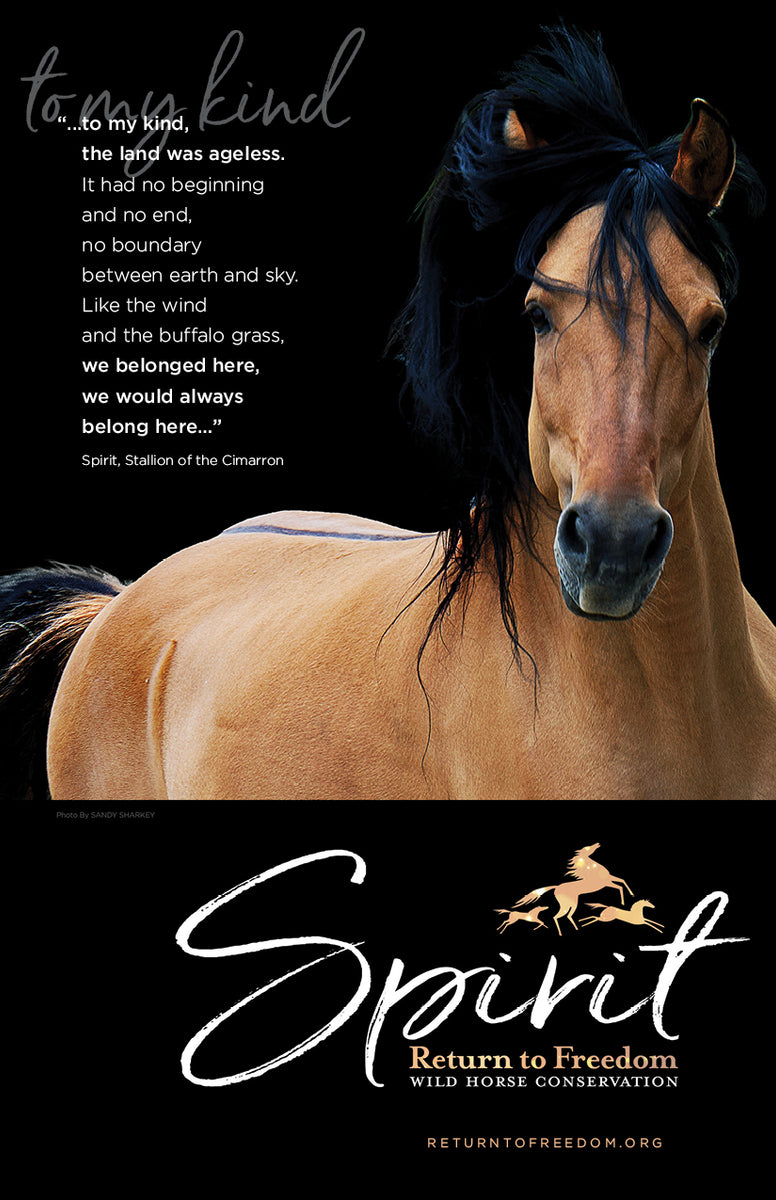 Spirit Poster - 11 x 17 – Return to Freedom Wild Horse Conservation