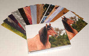 Return to Freedom Greeting Card Set from the 2024 Calendar