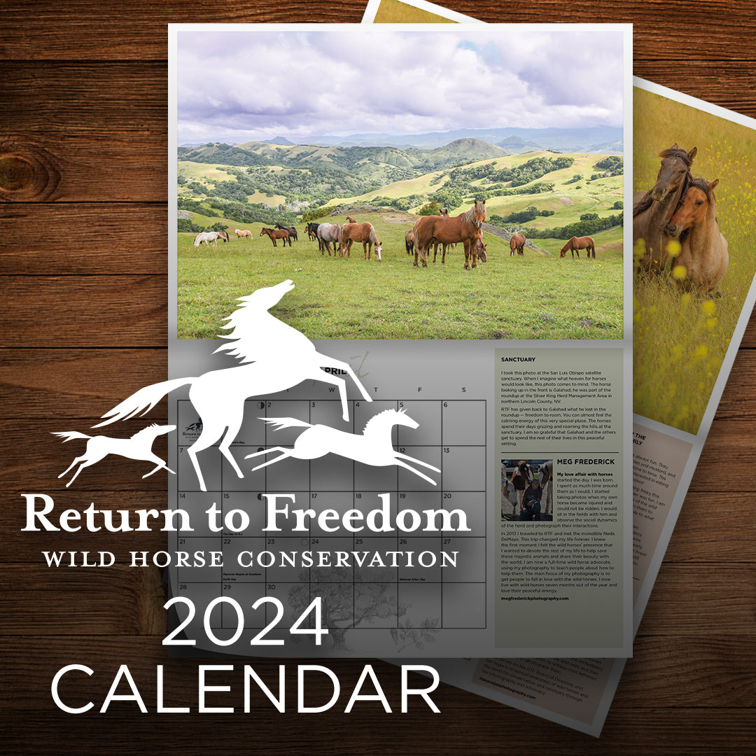 2024 Return to Freedom Calendar Return to Freedom Wild Horse Conservation
