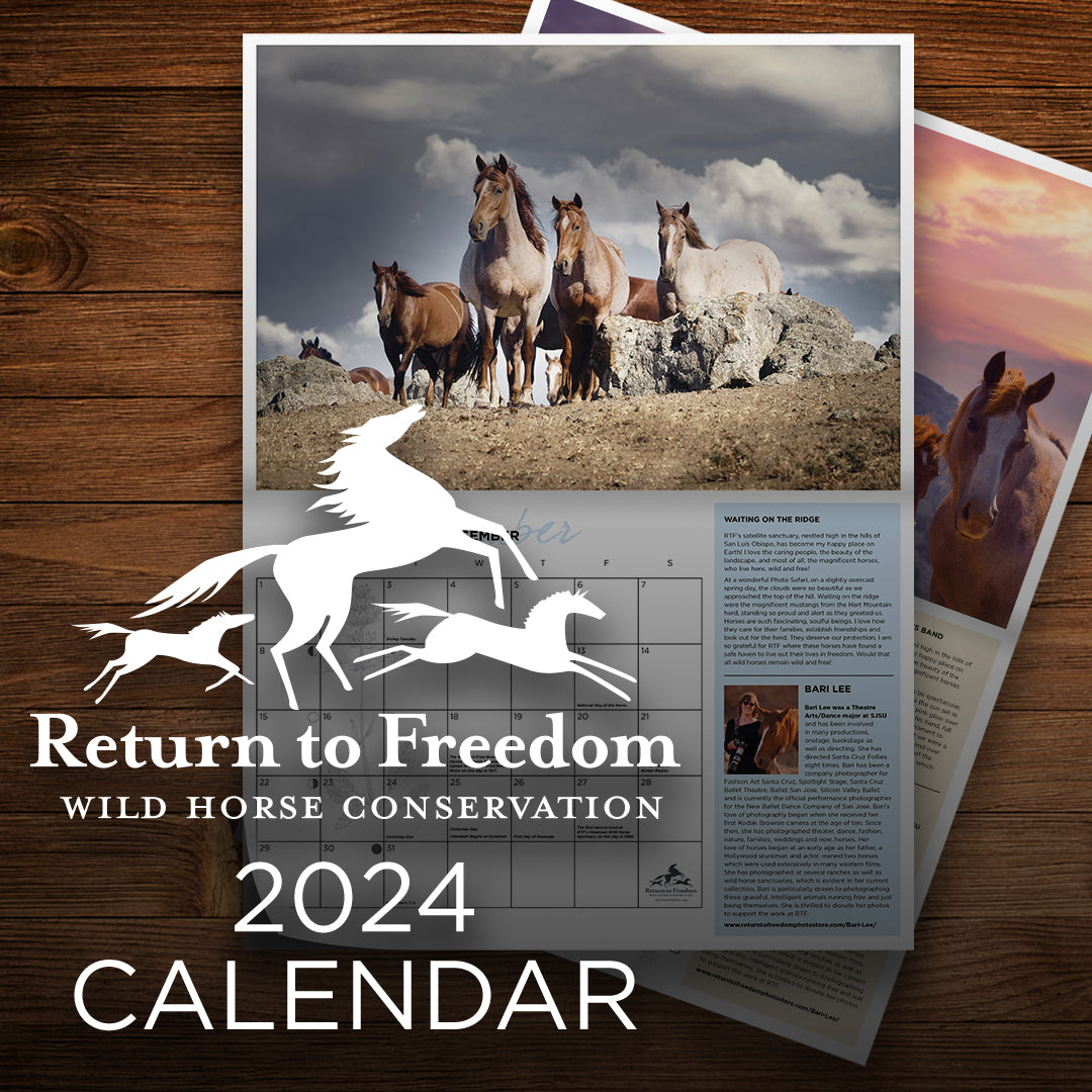 2024 Return to Freedom Calendar Return to Freedom Wild Horse Conservation