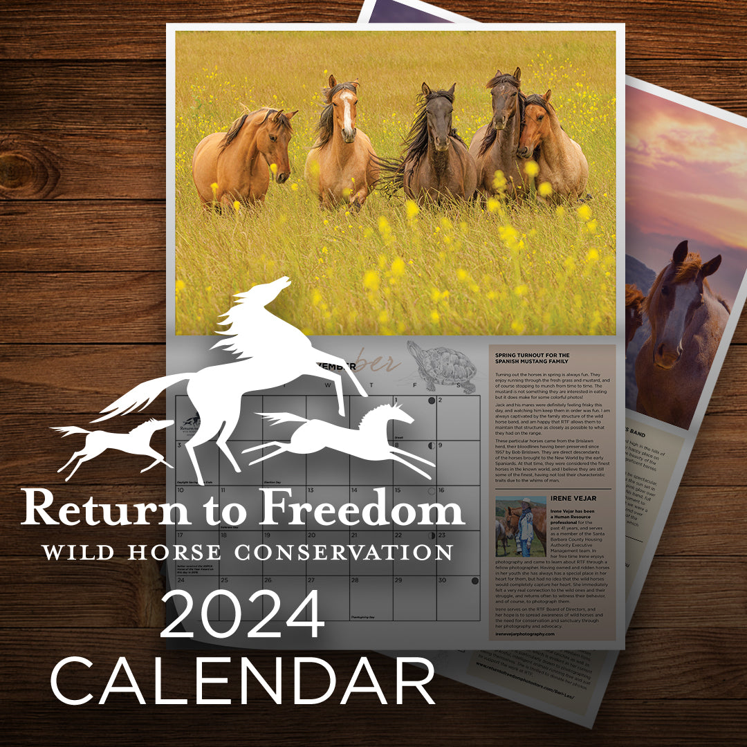 2024 Return to Freedom Calendar Return to Freedom Wild Horse Conservation