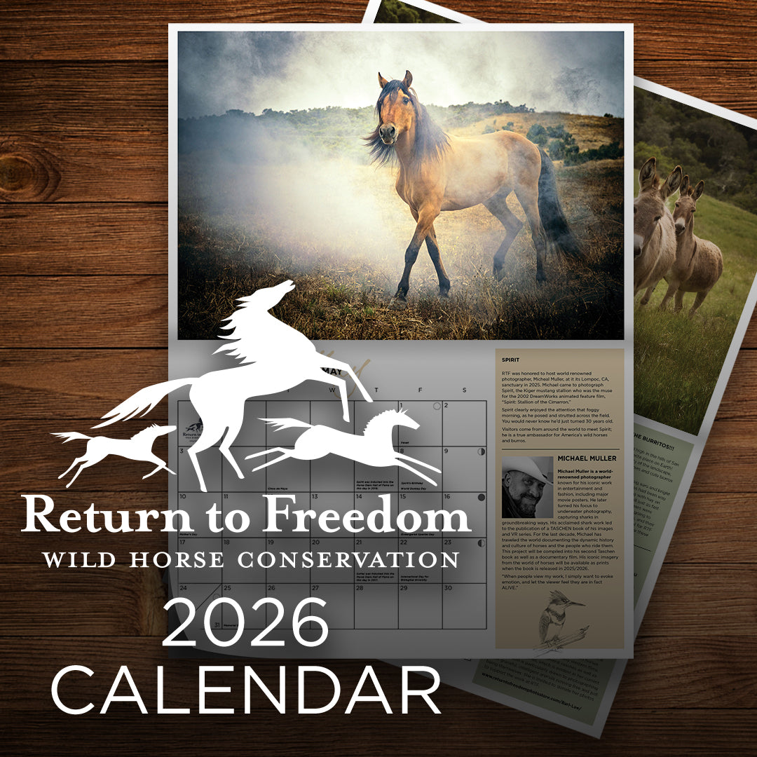 2026 Return to Freedom Calendar – Return to Freedom Wild Horse Conservation