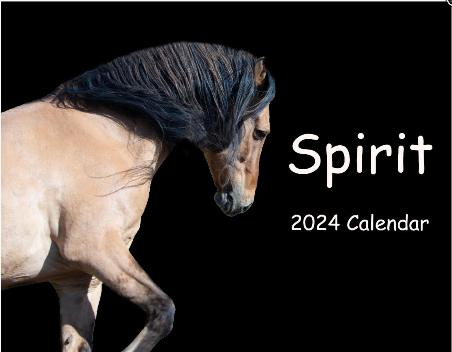 2024 Spirit Calendar