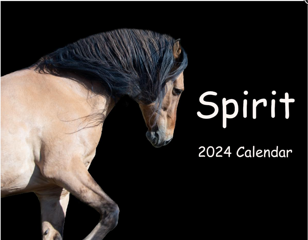 2024 Spirit Calendar Return To Freedom Wild Horse Conservation   Screenshot2023 12 14at11.33.55AM 1200x1200 