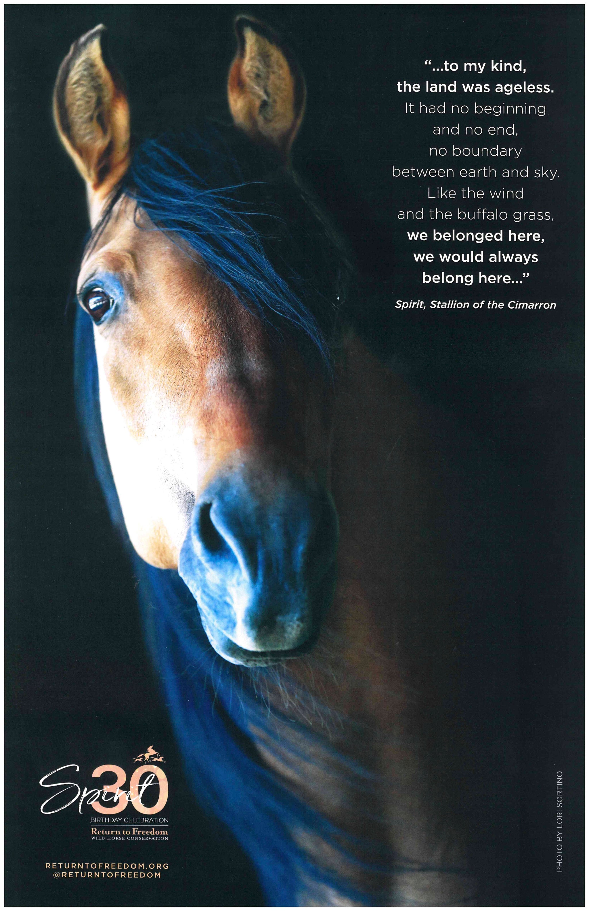 Spirit30thBirthdayPoster_2048x