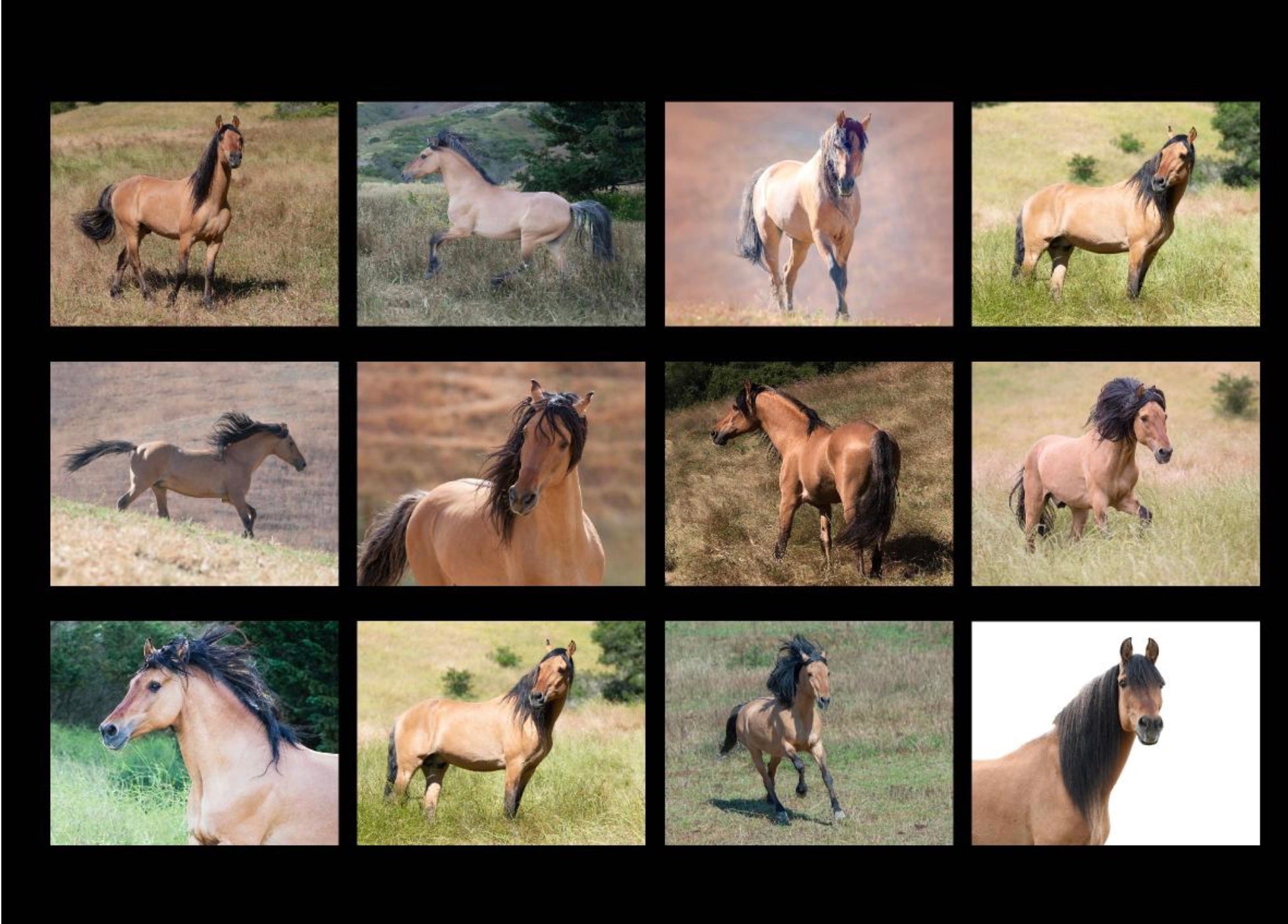 2025 Spirit Calendar