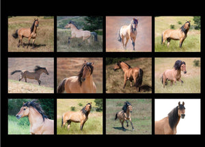 2025 Spirit Calendar