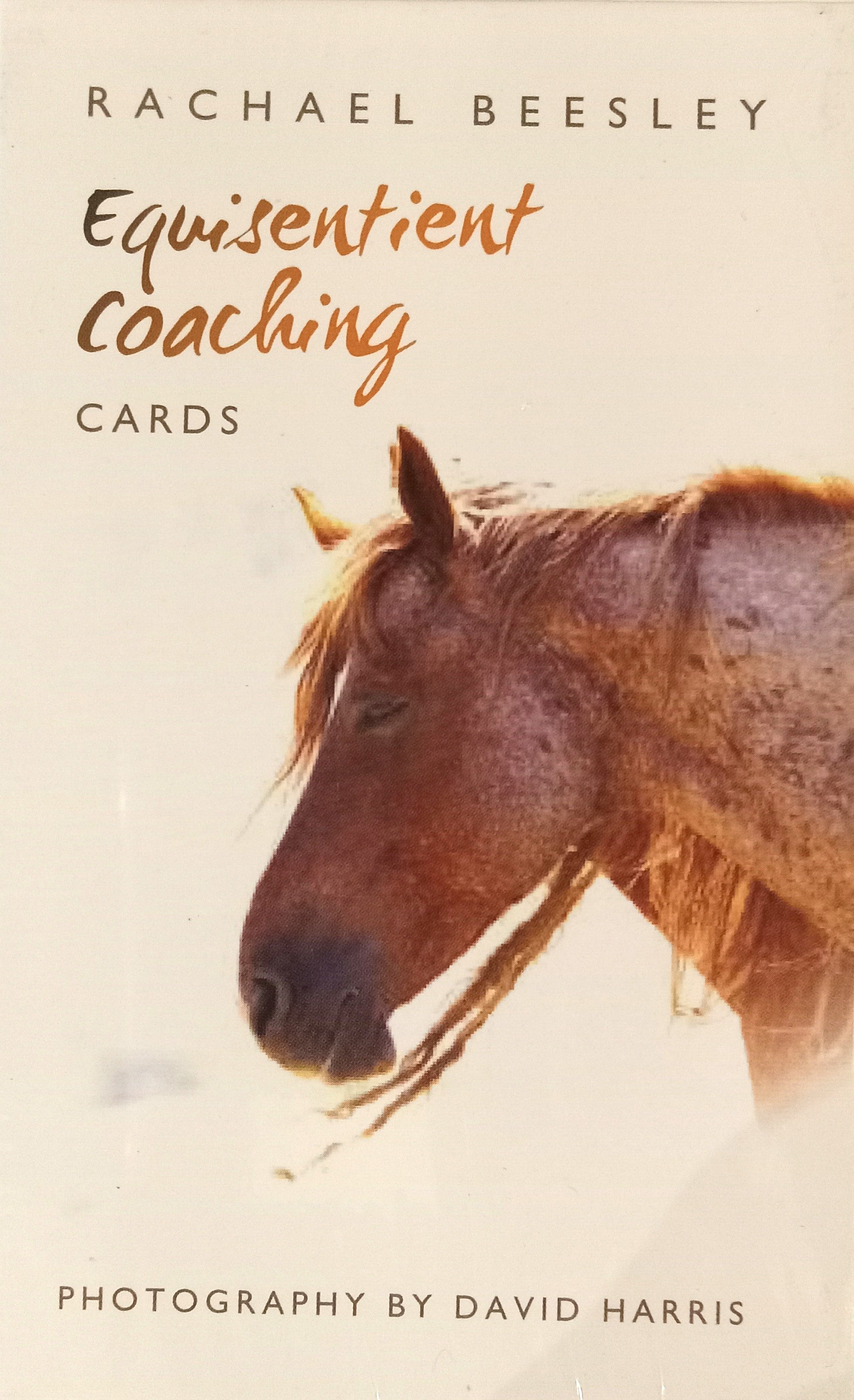 Equisentient Coaching Cards