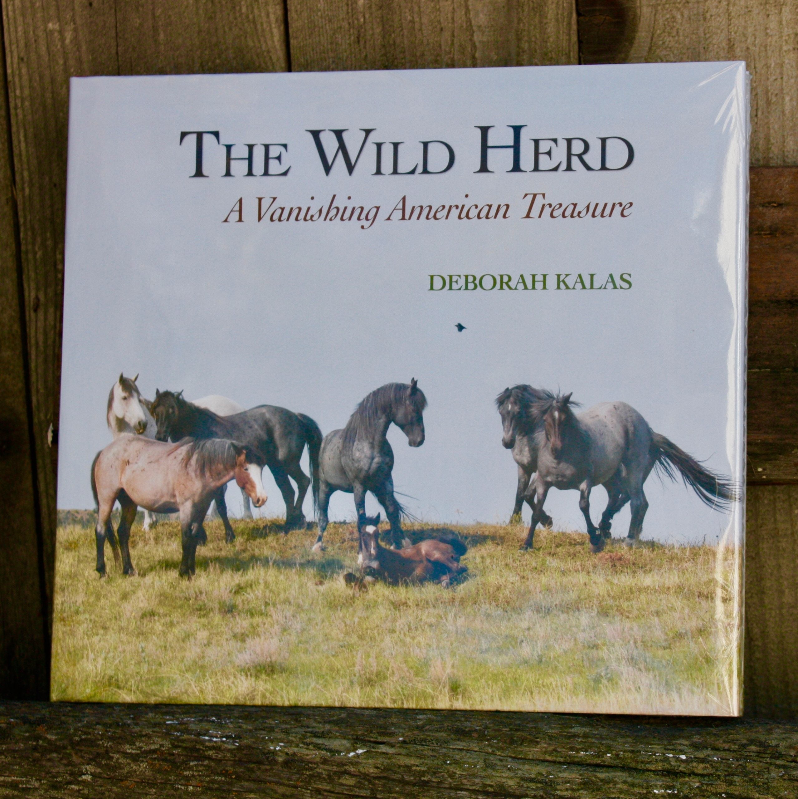 The Wild Herd: A Vanishing American Treasure