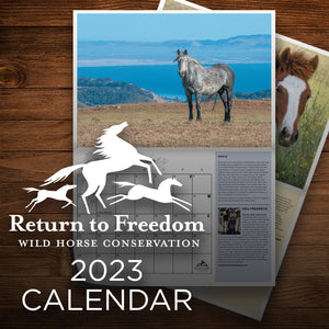 2023 Return to Freedom Calendar