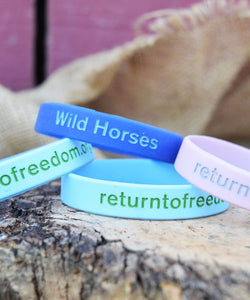 RETURN TO FREEDOM Bands