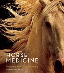 TONY STROMBERG "Horse Medicine"